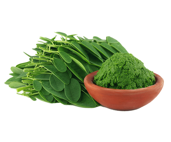 forest ORGANIC MORINGA POWDER