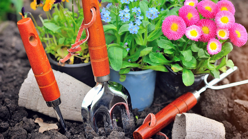 segunda imagen del post: ¿Cómo cuidar las herramientas del jardín?
