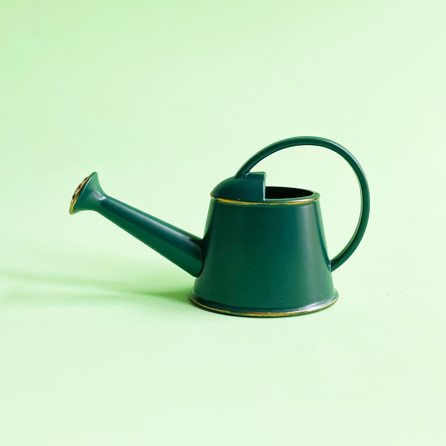 Mini Watering Can