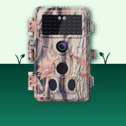 trail camera
