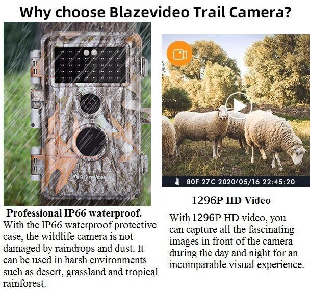 Game & Deer Hunting Trail Camera 24MP 1296P H.264 MP4 Video No Glow Night Vision Motion Activated IP66 Waterproof Photo & Video Model