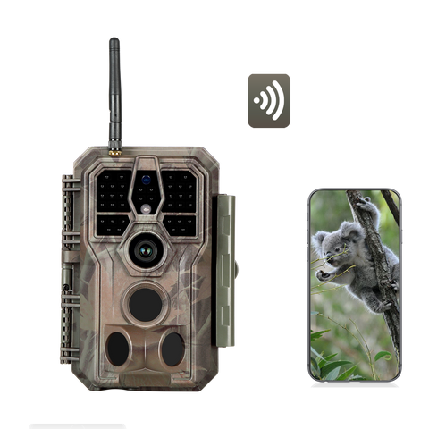 Trail camera