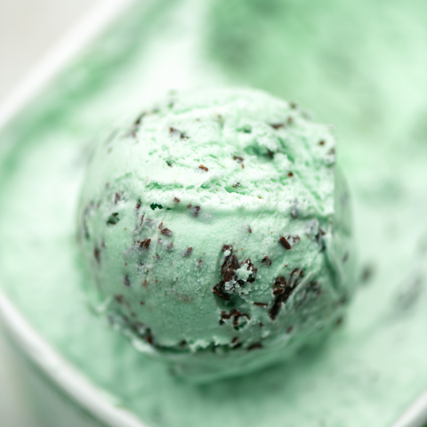 homemade mint chocolate chip ice cream