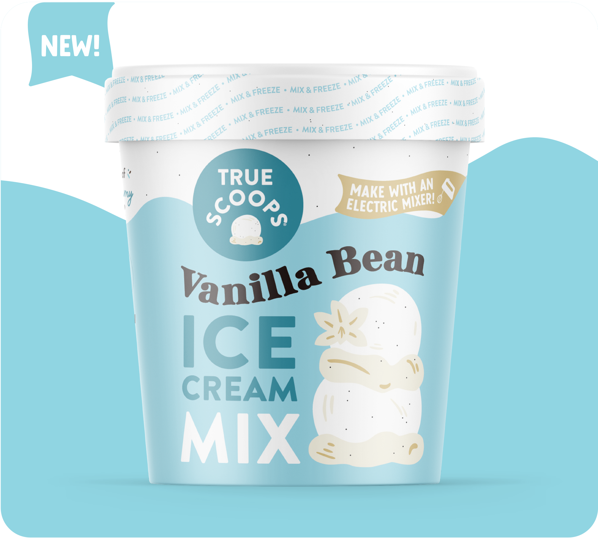 Vanilla Bean Ice Cream Mix