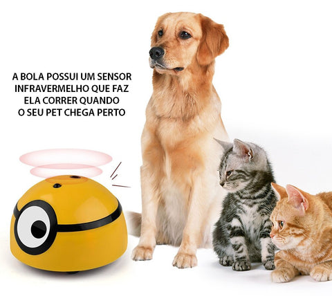 O gato fofo está brincando com uma bola de fios rosa. um gatinho curioso  deitado sobre um fundo azul, olhando para a câmera. jogos com animais de  estimação. brinquedos publicitários para gatos.