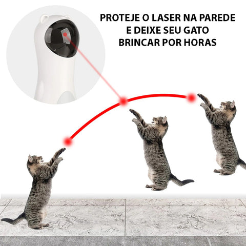 VÍDEO INTERATIVO PARA GATOS 