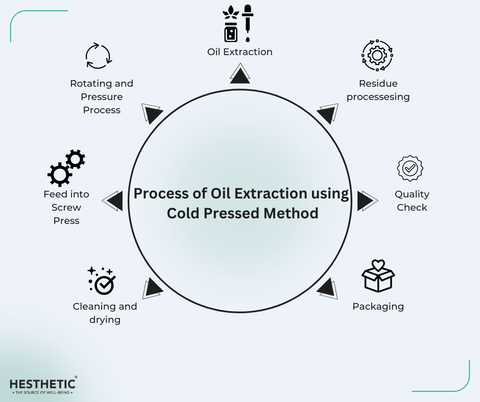 Cold Pressed Oil Extraction Process