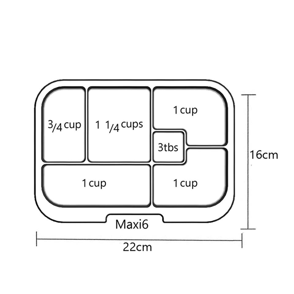 bento box measurements