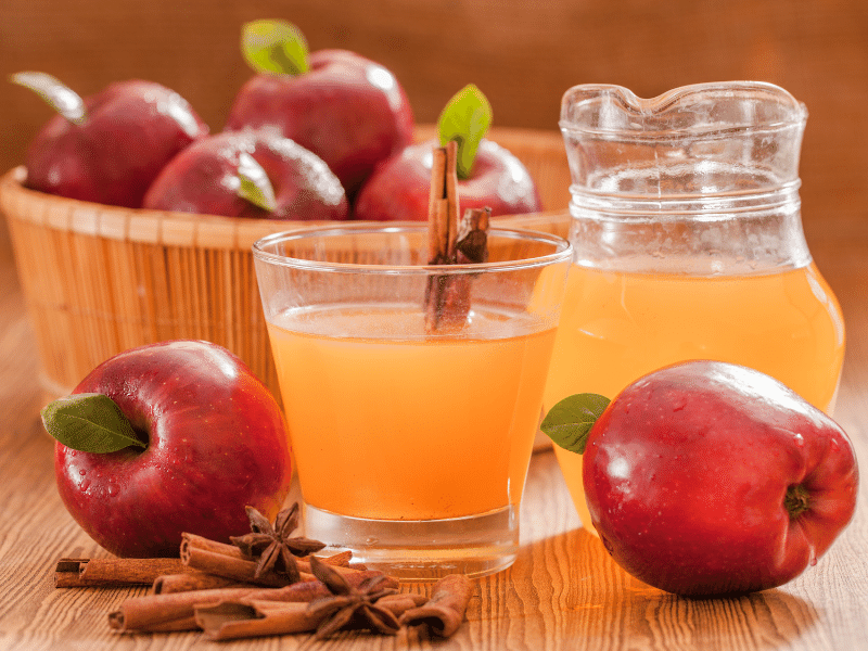 Puraiva Apple Cider Vinegar Natural Supplements