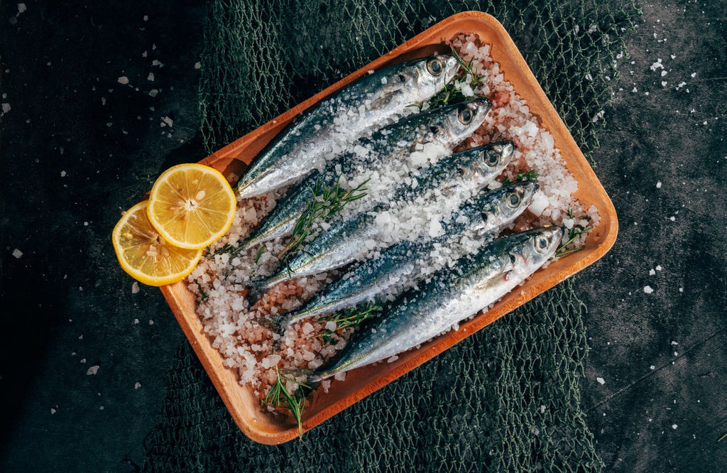 Sardines on a terracotta dish