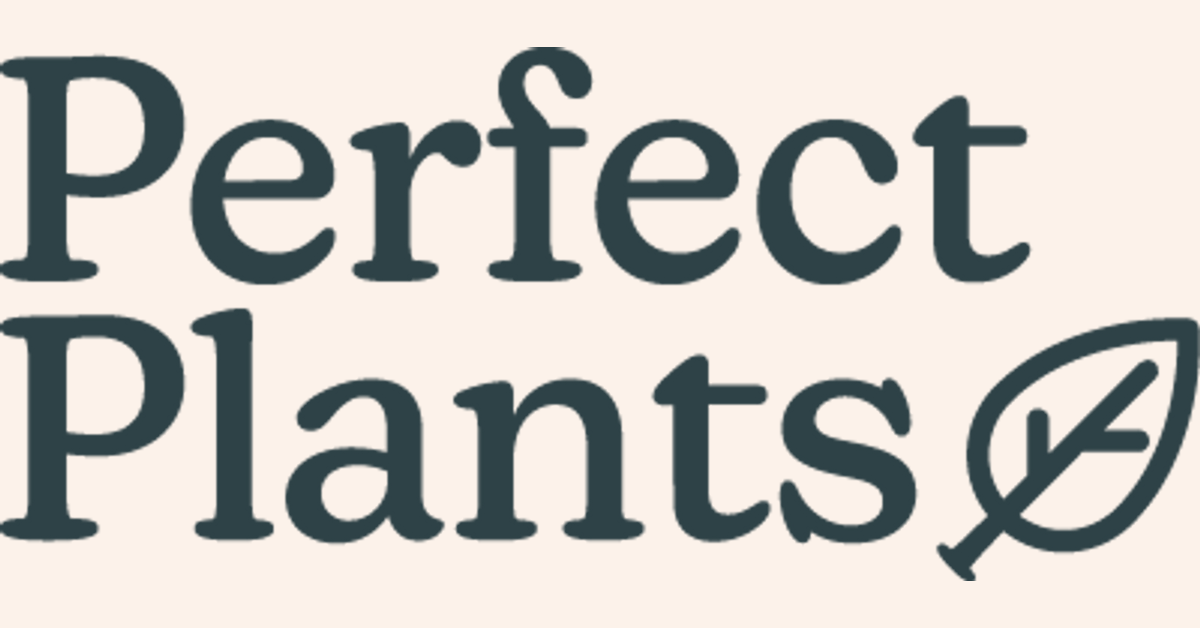 (c) Perfectplants.co.uk
