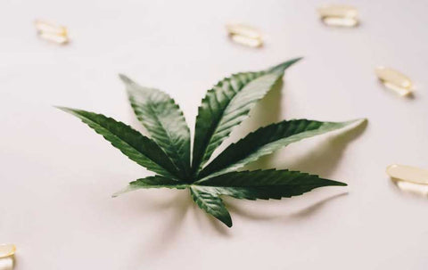 cbd leaf and pills