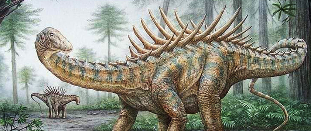 Ampelosaurus Illustration