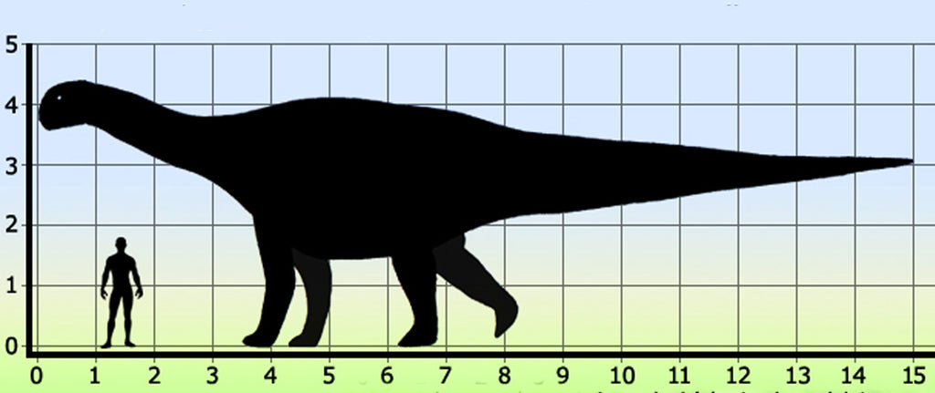 Ampelosaurus taille