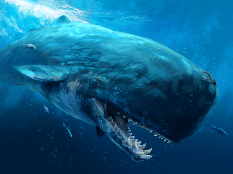 Baleine dinosaure dans l'océan