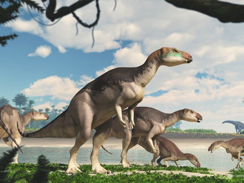 Dinosaure iguanodon marron
