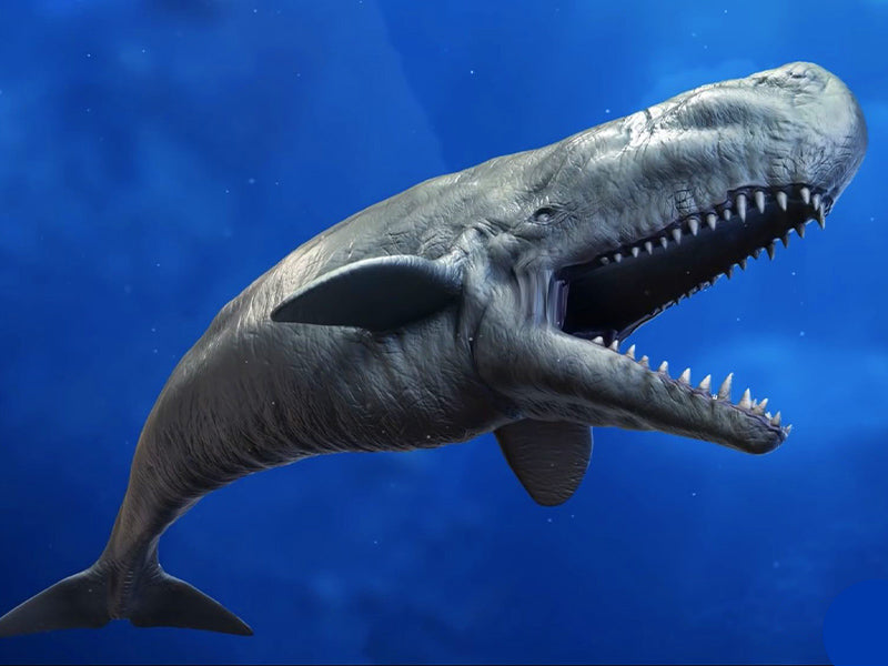 Dinosaure océan baleine