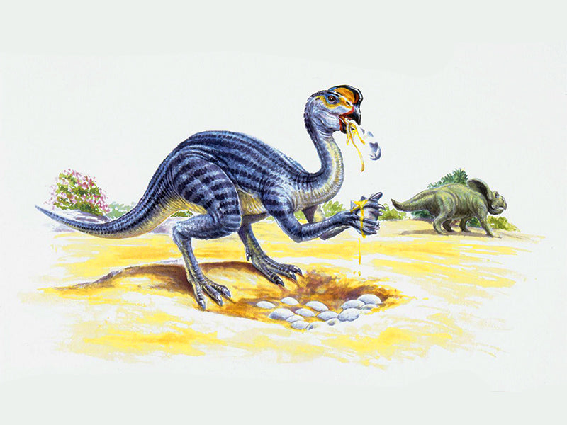 Dinosaure qui mange des œufs