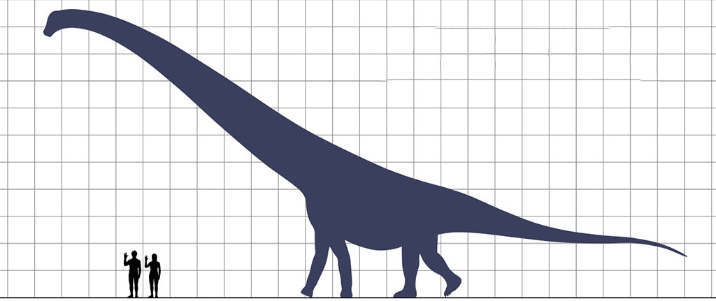 Dreadnoughtus dinosaure