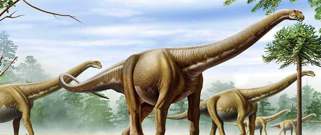 Dreadnoughtus dinosaure géant