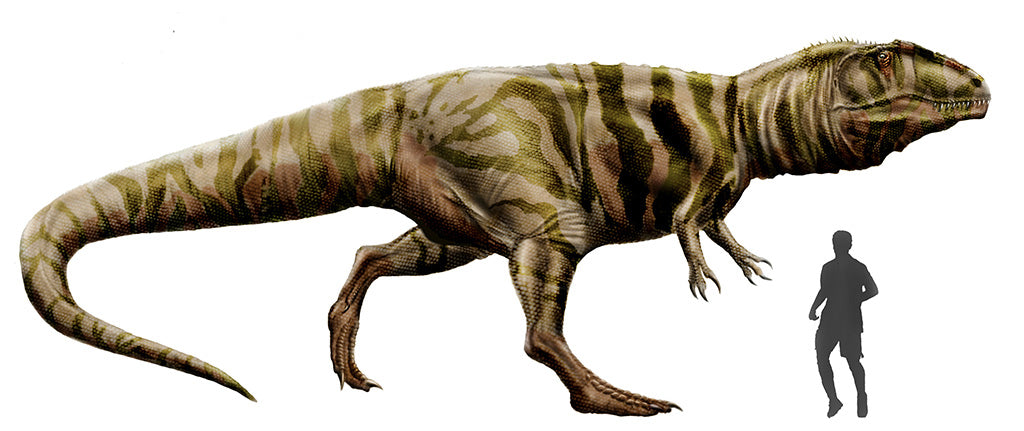 Giganotosaurus dinosaure