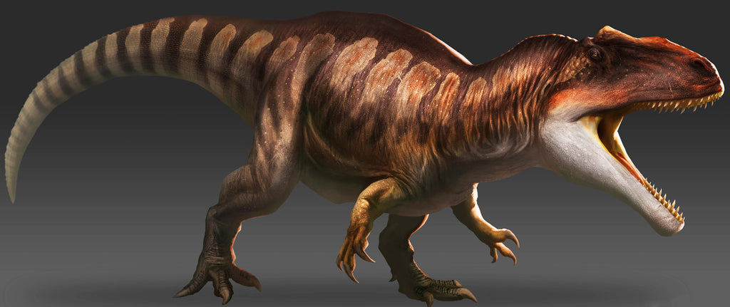 Giganotosaurus Illustration