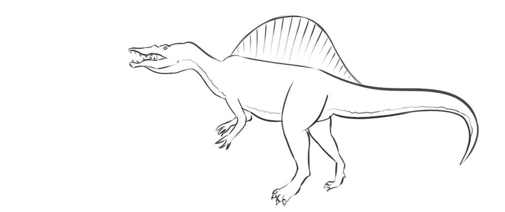 Illustration dinosaure spinosaure enfant 