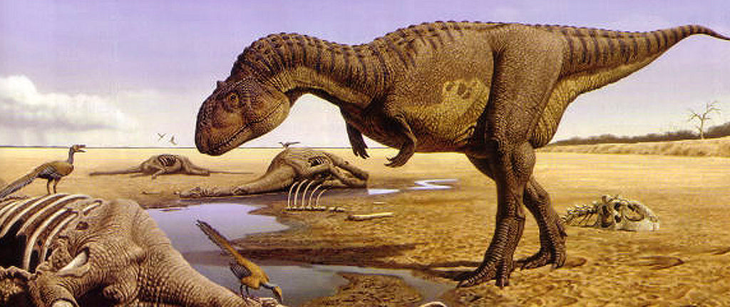 Majungasaurus dessin