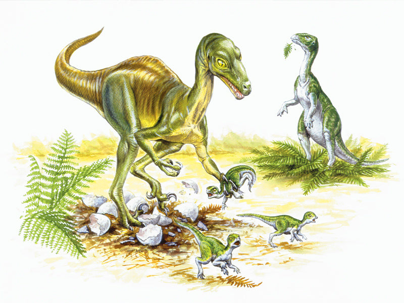 Petit dinosaure vert avec oeuf de dinosaure