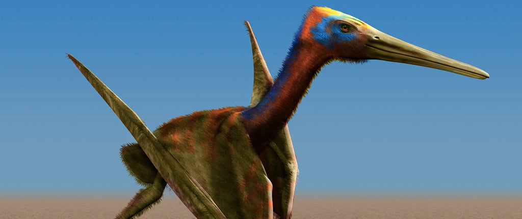 Ptérosaure dinosaure