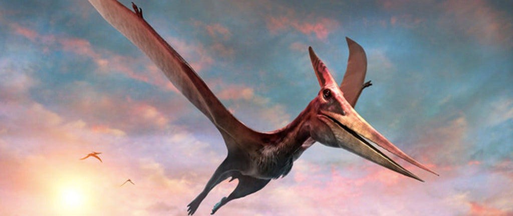 Ptérosaure en vol