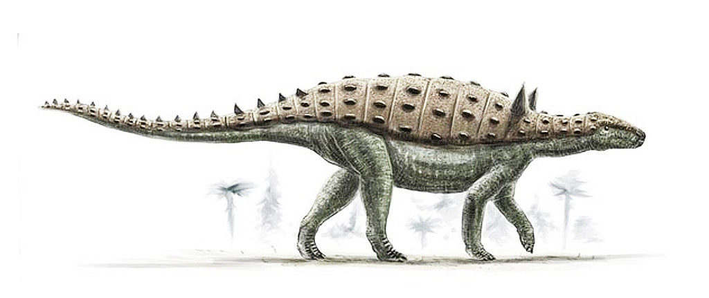 Struthiosaurus Dessin