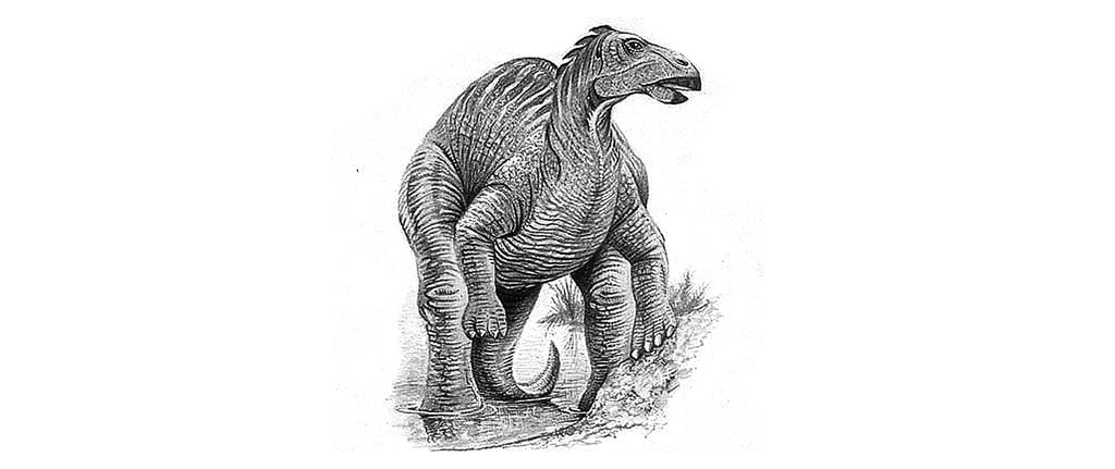 Telmatosaurus dessin