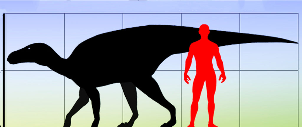 Telmatosaurus taille