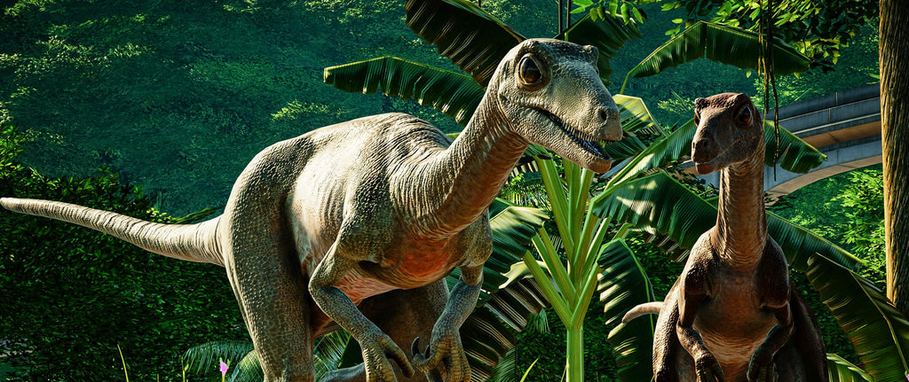 Troodon Dinosaure