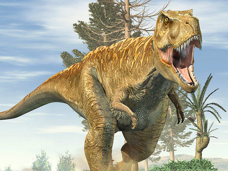 Tyrranosaure géant illustration
