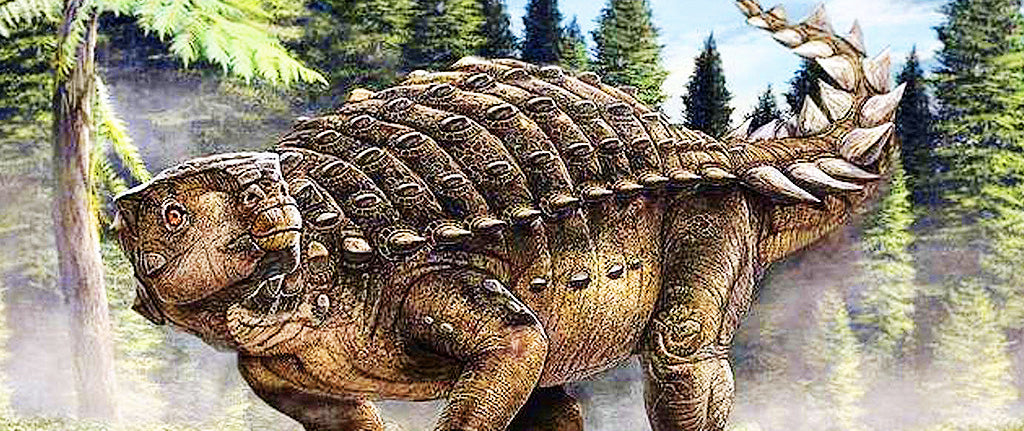ankylosaue dinosaure préhistorique