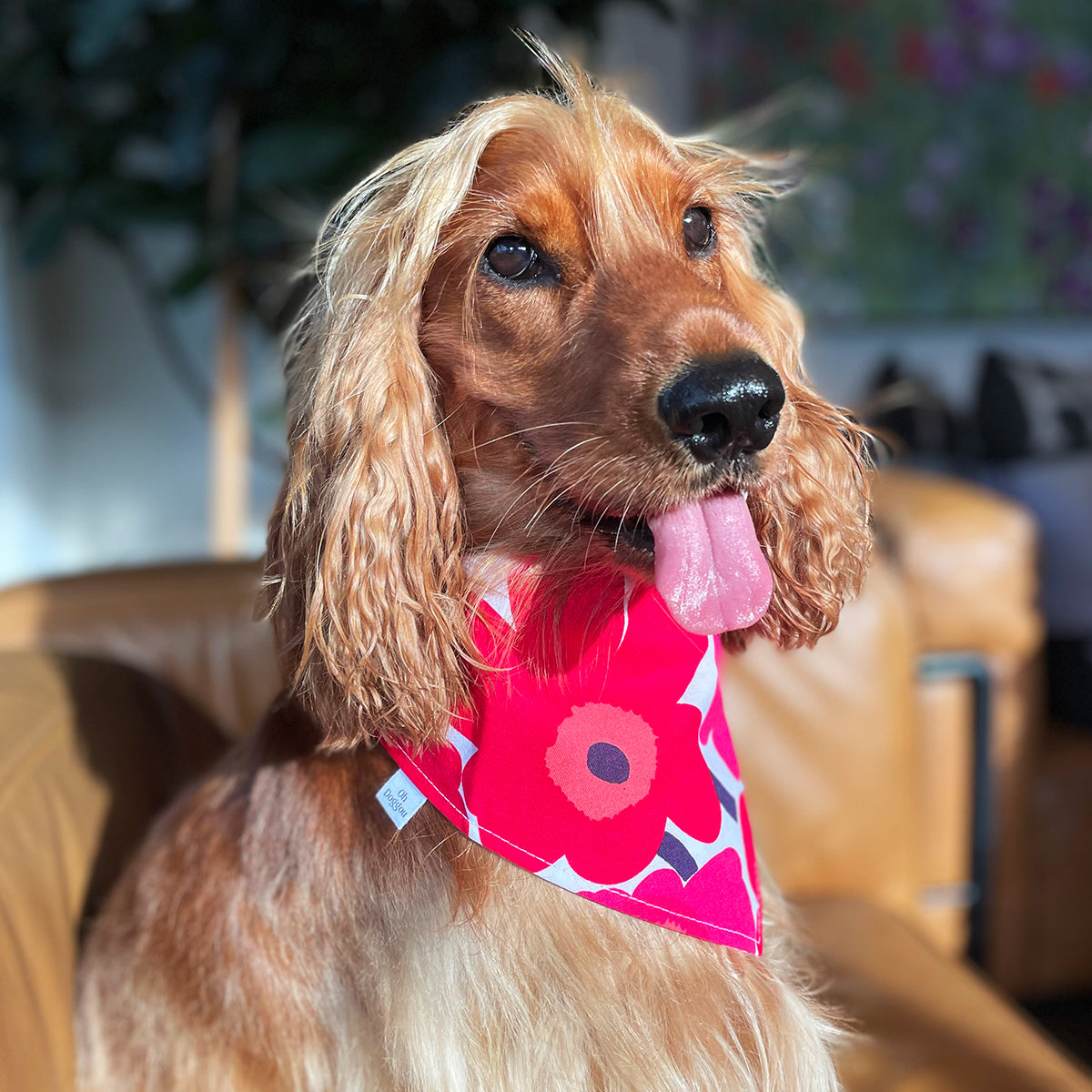 Marimekko Unikko Dog Bandana - Red – Oh Doggou