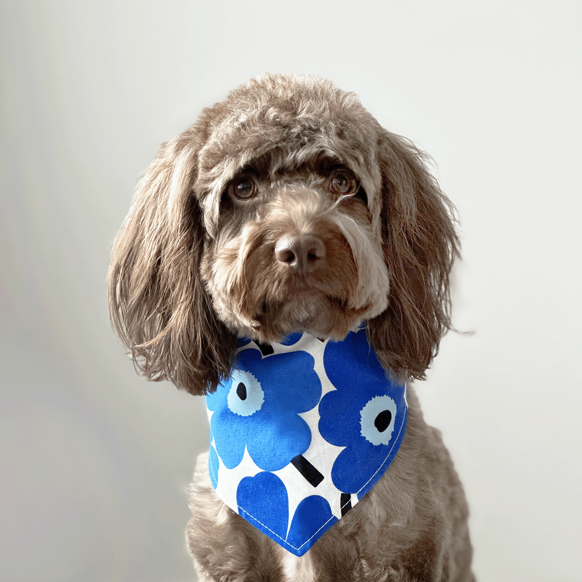 Marimekko Unikko Dog Bandana - Blue – Oh Doggou