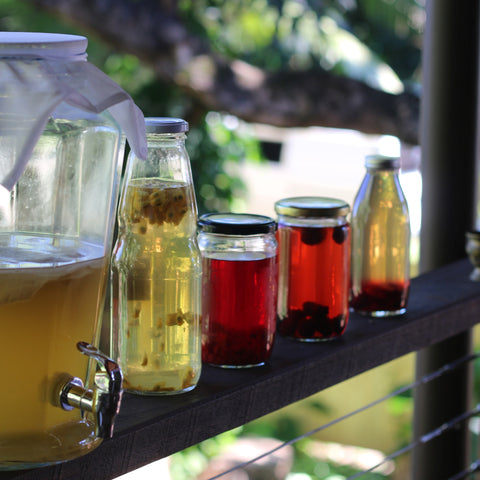 fermented kombucha in different flavors and colors