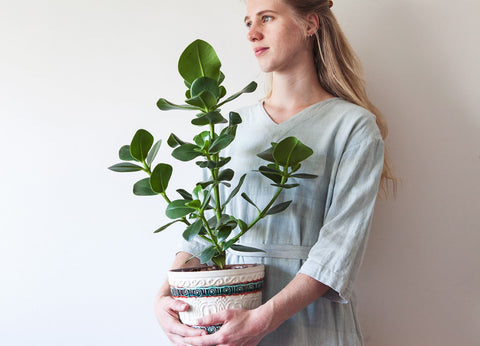 Mama Botanica met een luchtzuiverende plant, de Clusia Princess