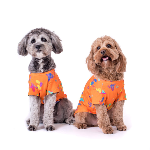 Two cavoodles wearing Vibrant Hound Lil Prick Dog shirts
