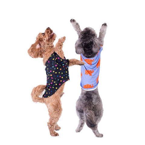 Two dogs jumping into the air. They are wearing dog shirts from Vibrant Hound.