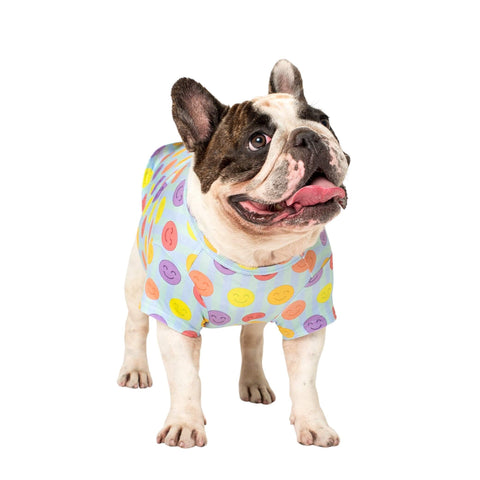 Chester the French Buldog wearing a Vibrant Hound dog-shirt