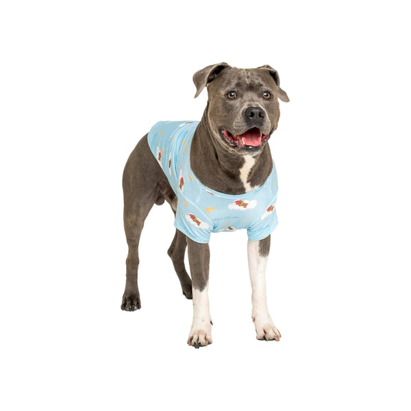 American Staffordshire terrier wearing a Lil Dreamer blue pajamas.