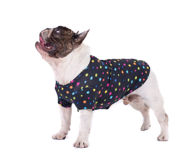 French Bulldog wearing a Vibrant Hound shirt for dogs.