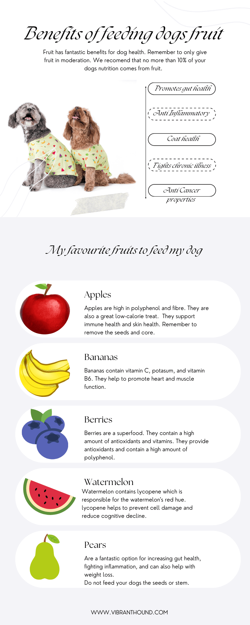 The benefits of feeding dogs fruit and my favourite fruit to feed them infographic.