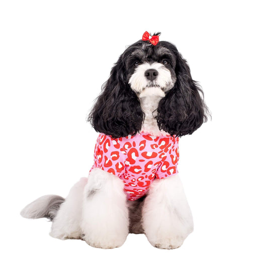 Dog pyjamas: Lil Dreamer pink – Vibrant Hound