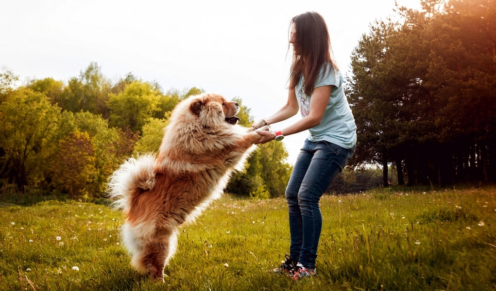 national pet parents day