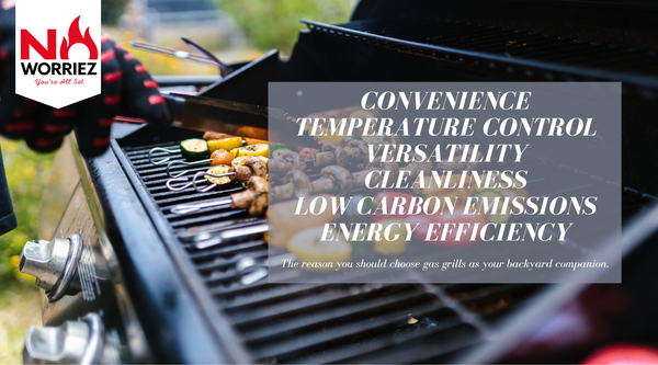 The reason why you should choose gas grill as your backyard companion